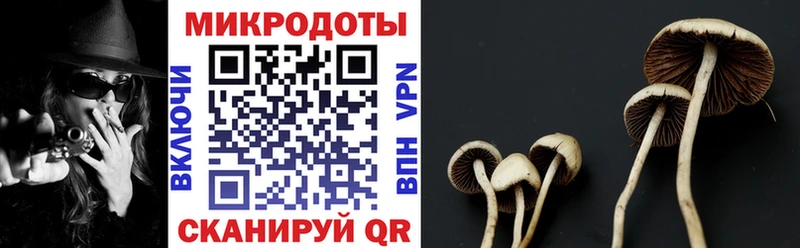 цены   Мичуринск  МЕГА зеркало  Псилоцибиновые грибы Magic Shrooms 