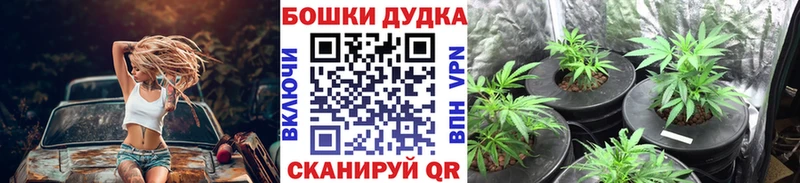 Канабис конопля  маркетплейс как зайти  Мичуринск  где купить  